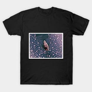 Swimming Through The Cherry Blossoms T-Shirt